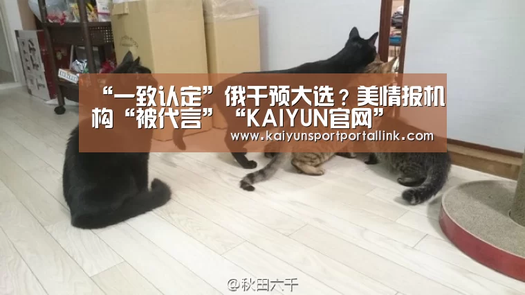 “一致认定”俄干预大选?美情报机构“被代言”“KAIYUN官网”(图2) 开云体育
