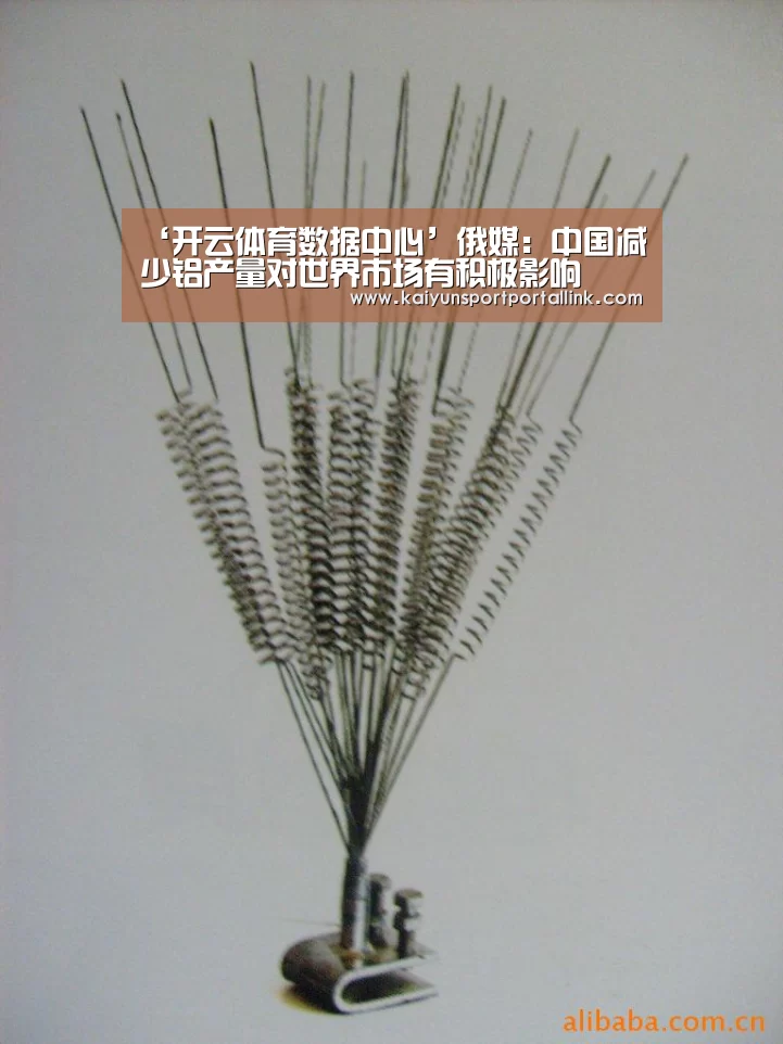‘开云体育数据中心’俄媒:中国减少铝产量对世界市场有积极影响(图2) 开云体育数据中心