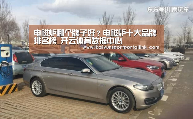 电磁炉哪个牌子好？电磁炉十大品牌排名榜_开云体育数据中心